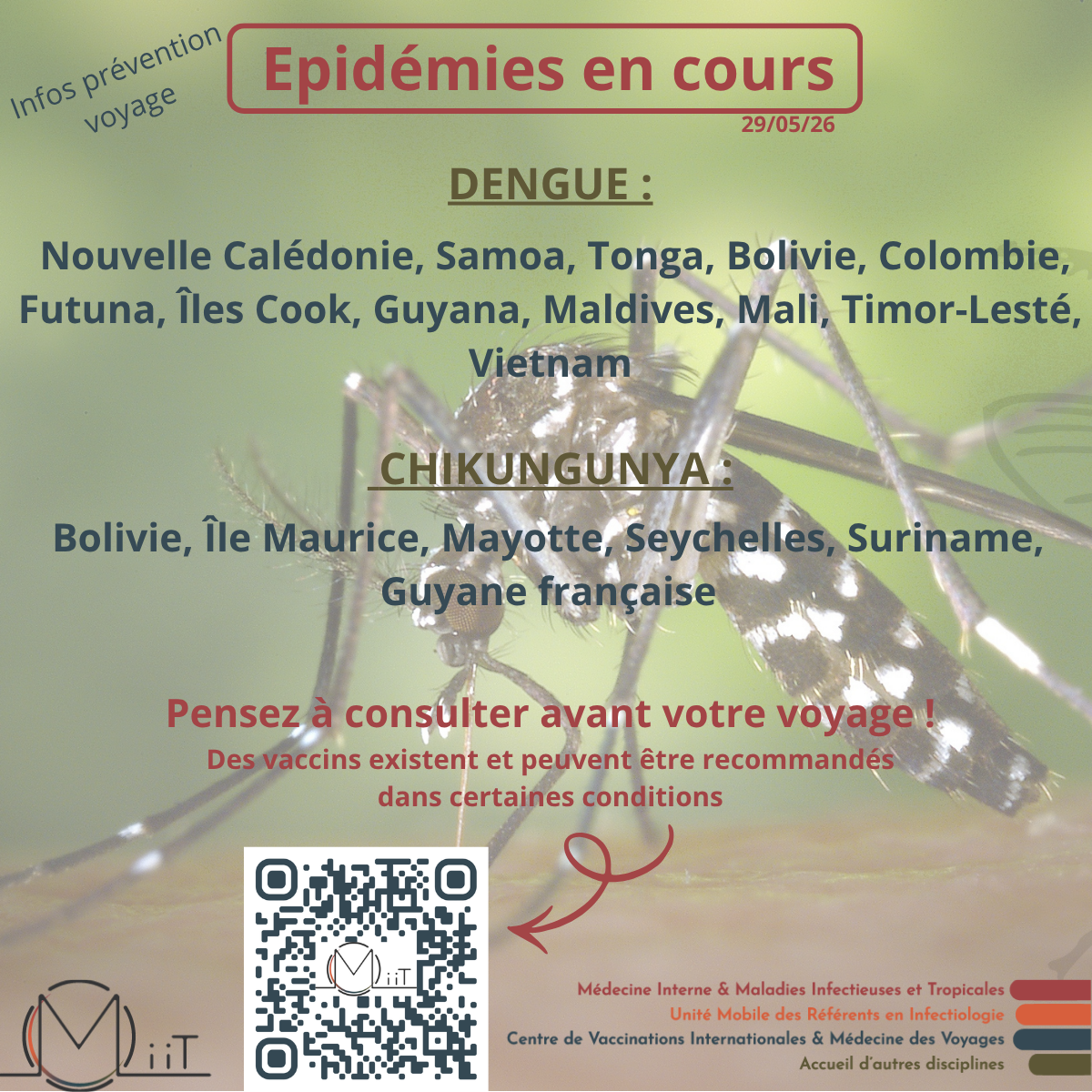 Point épidémiologique arboviroses 29/05/26
